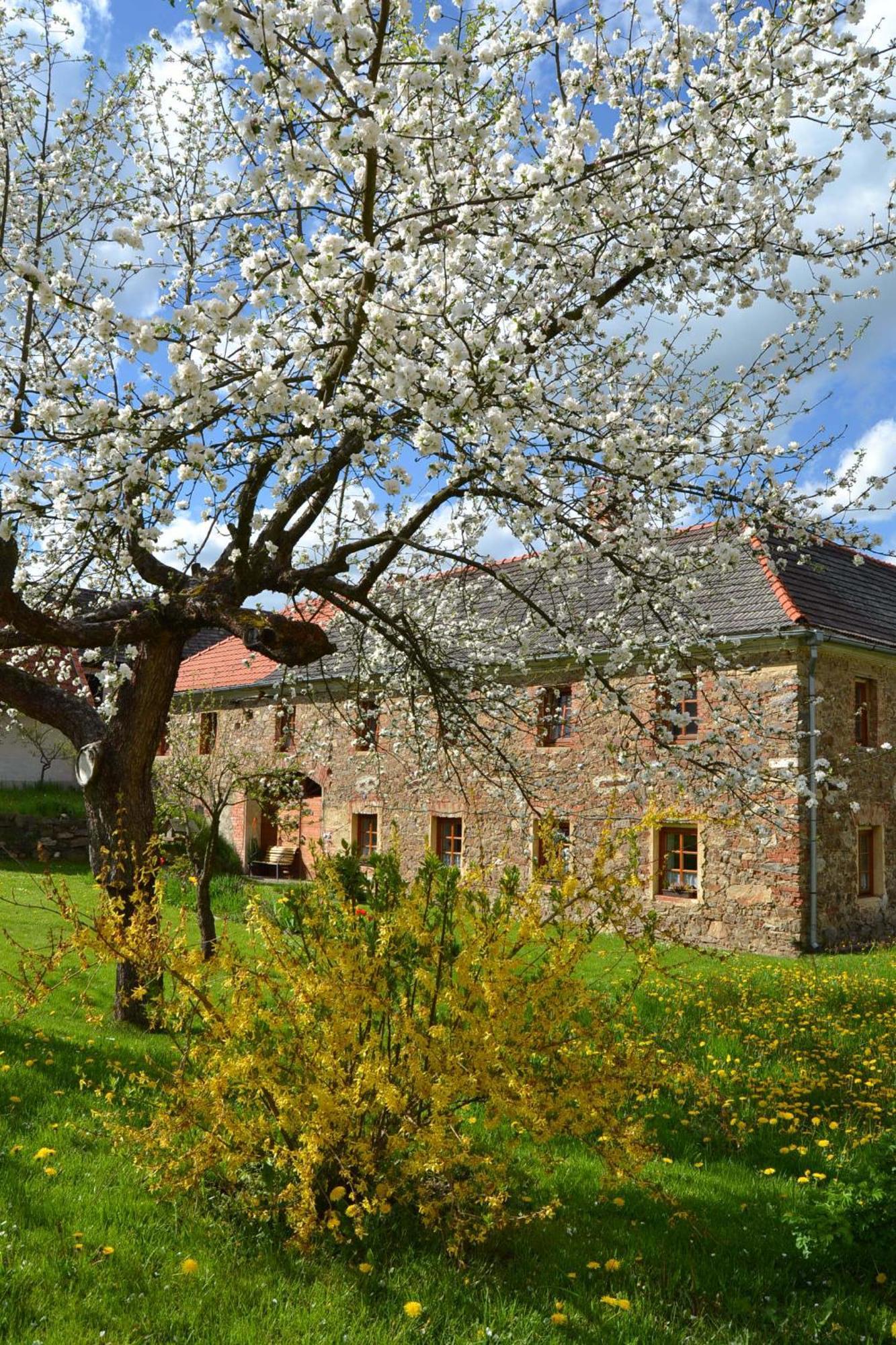Appartamento Selsky Dvur Kájov Esterno foto